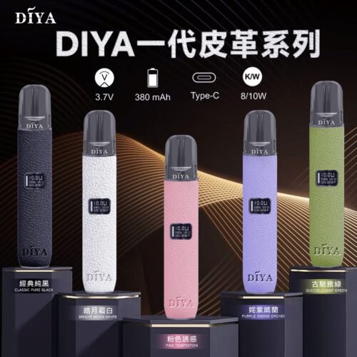 DIYA 皮革主機